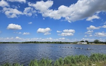 Blackwater National Wildlife Refuge