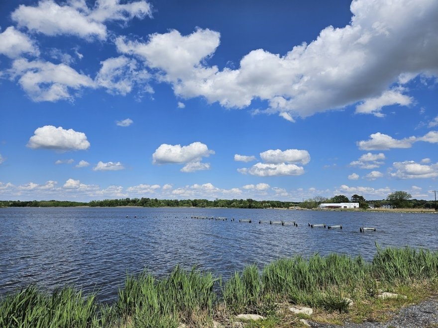 Blackwater National Wildlife Refuge