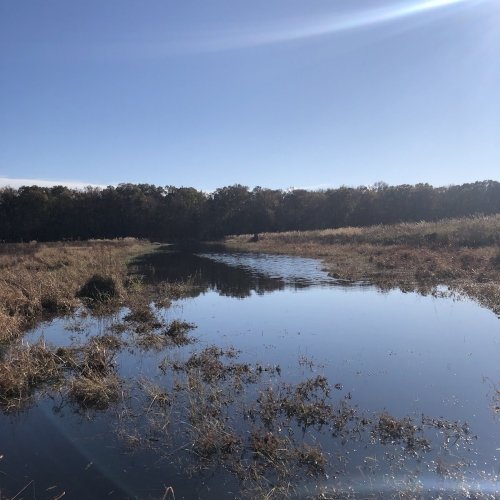 LeCompte Wildlife Management Area