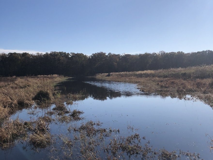 LeCompte Wildlife Management Area