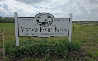 Vintage Family Farms