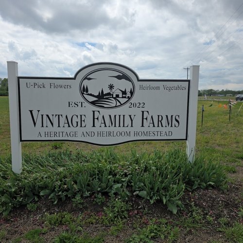 Vintage Family Farms