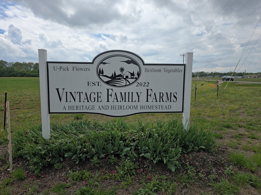 Vintage Family Farms