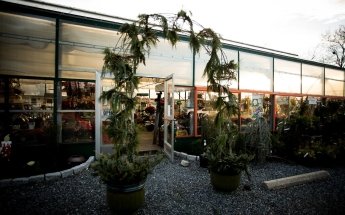Mowbray's Garden Center