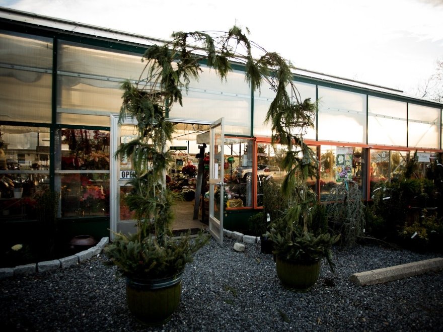 Mowbray's Garden Center