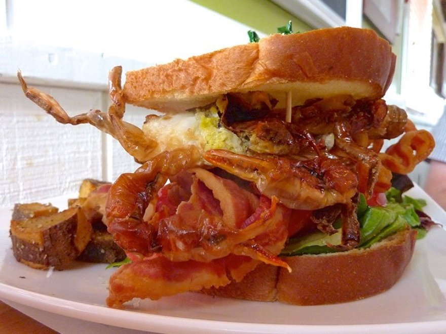 Ocean Odyssey Crab House & Seafood Restaurant