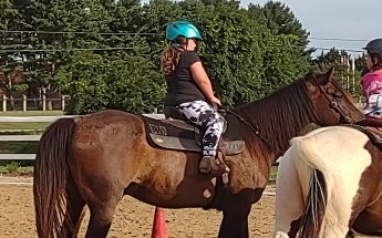 Windy Way Horses, LLC