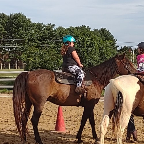 Windy Way Horses, LLC