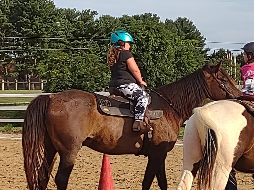 Windy Way Horses, LLC