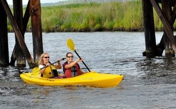 Nature's Bounty Tours
