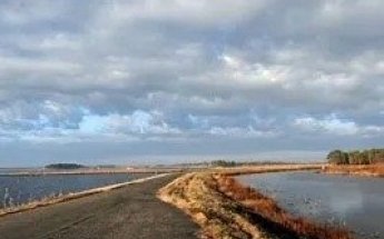 Blackwater Refuge Wildlife Drive