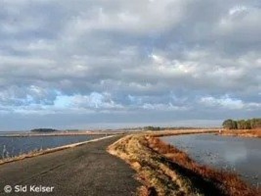 Blackwater Refuge Wildlife Drive