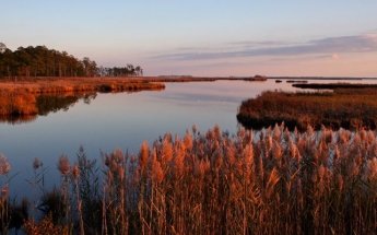 Fishing at Blackwater Refuge