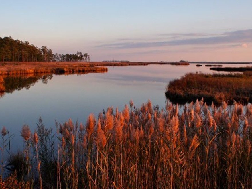Fishing at Blackwater Refuge