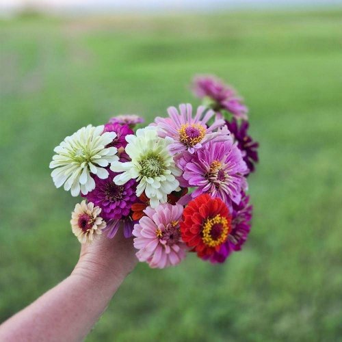 Shiloh Heritage Acres