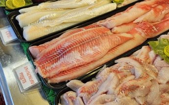 Choptank River Crab & Oyster CO.