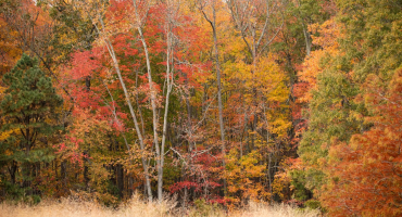Fall Fun Guide 2024 - Heart of the Chesapeake