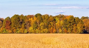 Hike, bike, bird, fish & hunt in the Heart of the Chesapeake!