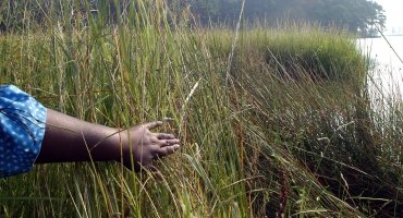 Step Into Tubman’s World: Experience Harriet Tubman Month in Dorchester County