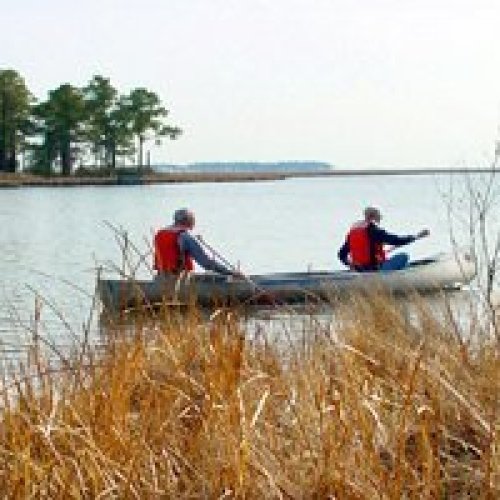 Blackwater Paddling Trails