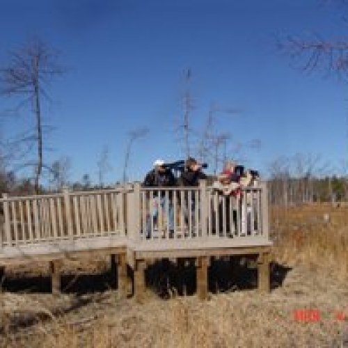 Blackwater Tubman Road Trail