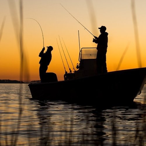An Intro to Fishing in Dorchester County
