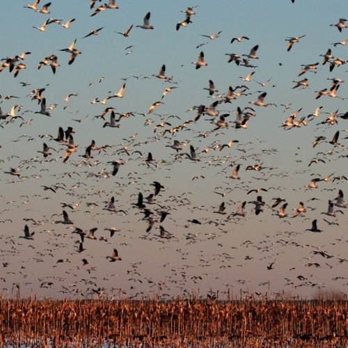 Winter Adventures in the Heart of the Chesapeake