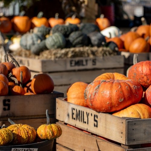 48 Hours of Fall in Dorchester County